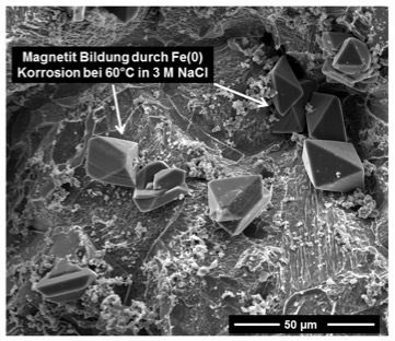 SEM Bild von Magnetit Bildung