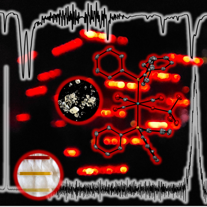 Liebig Fellowship Young Investigator Group Maximilian Roca Jungfer