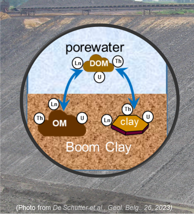 Diagramm: Kreislauf von Boom Clay-Und OM mit Porewater, Th-, Ln-, U-, Dom-Bildung.